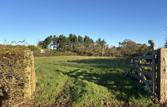 Ballycomclone, Gorey, Co. Wexford